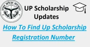 Read more about the article How to Find the UP Scholarship Registration Number