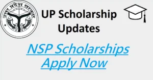 Read more about the article NSP: Scholarships, Eligibility, Application, Renewal and more